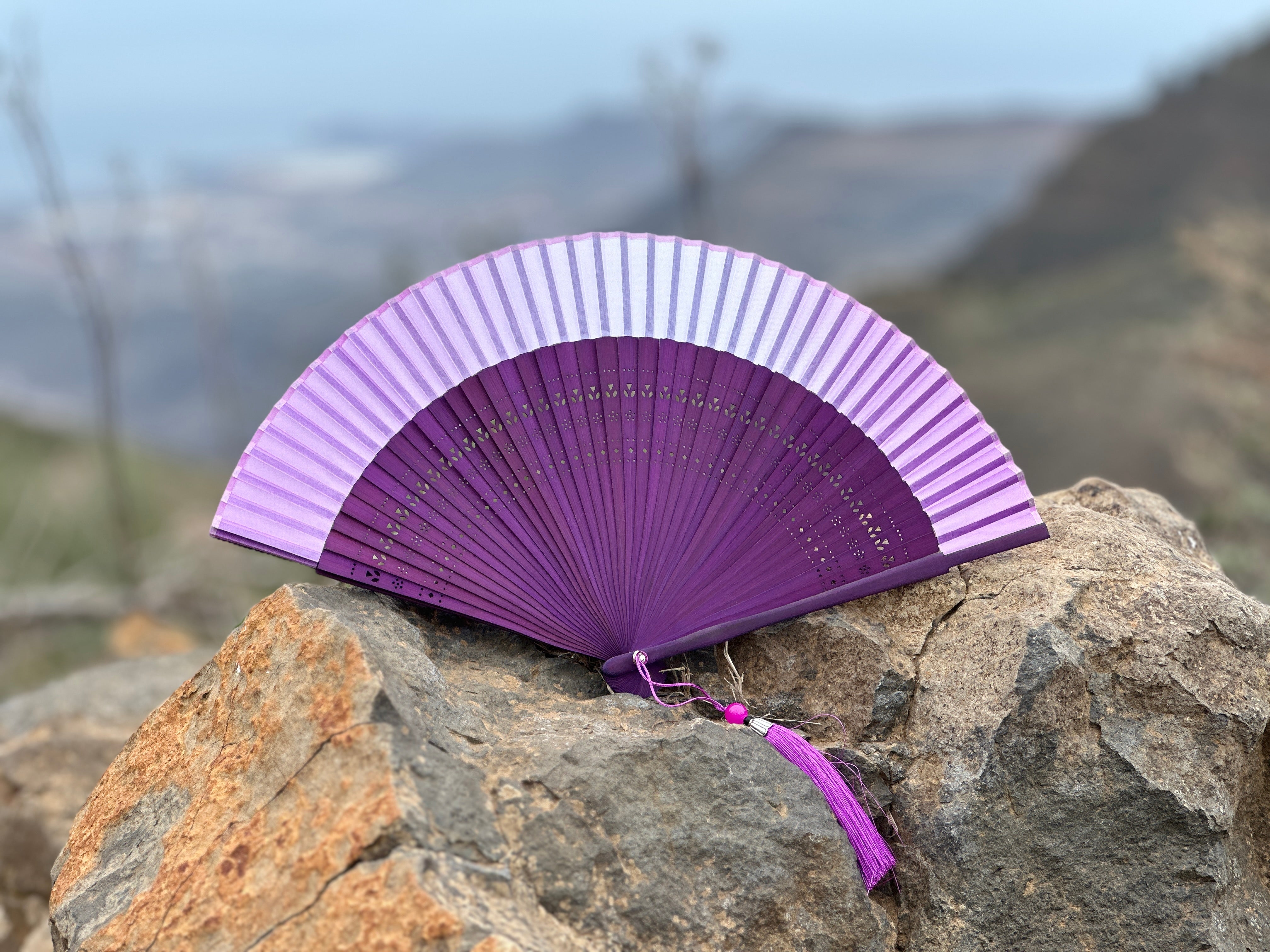 Collection of  in a gallery layout