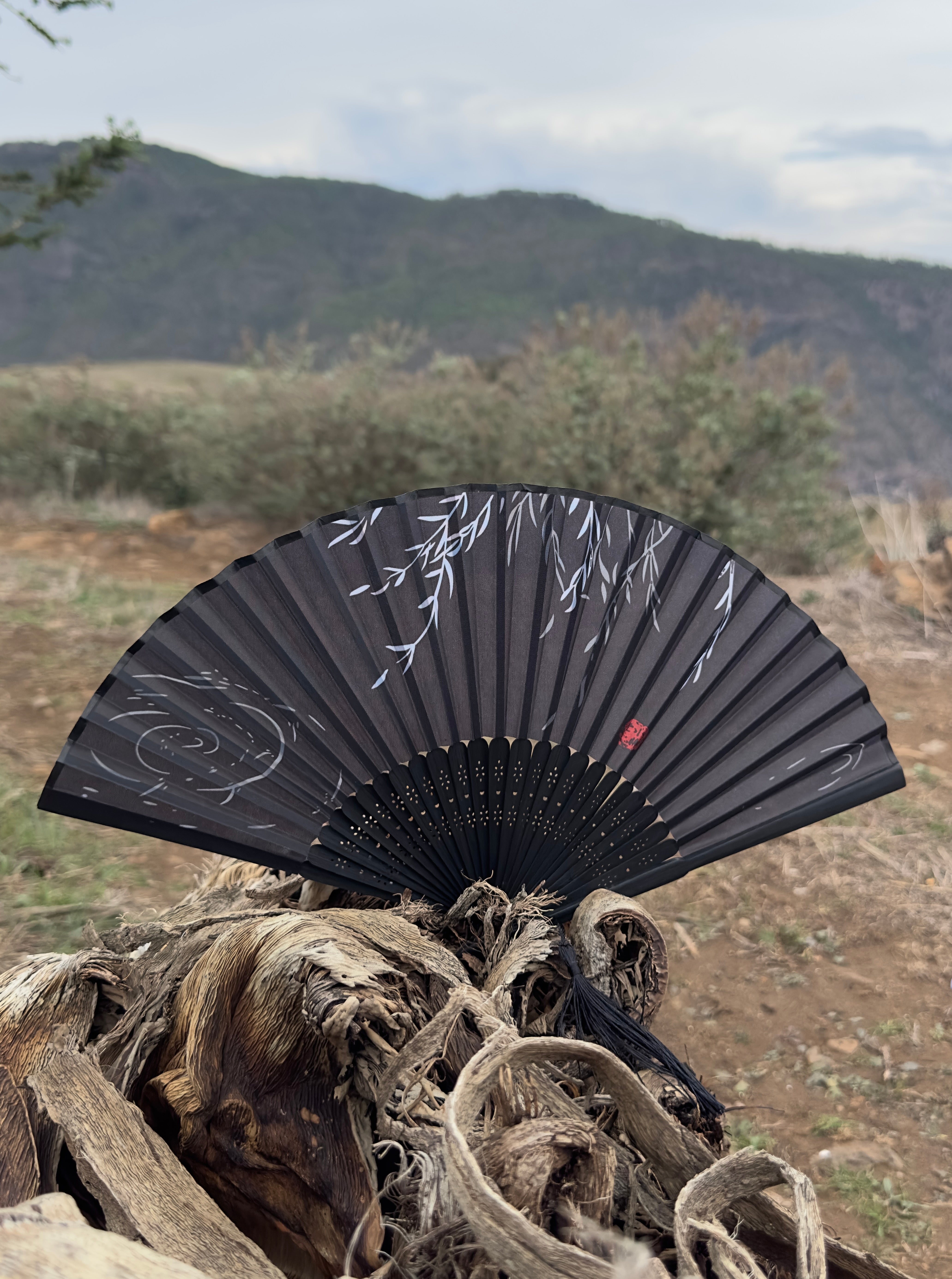 Collection of Aire Maestro in a gallery layout