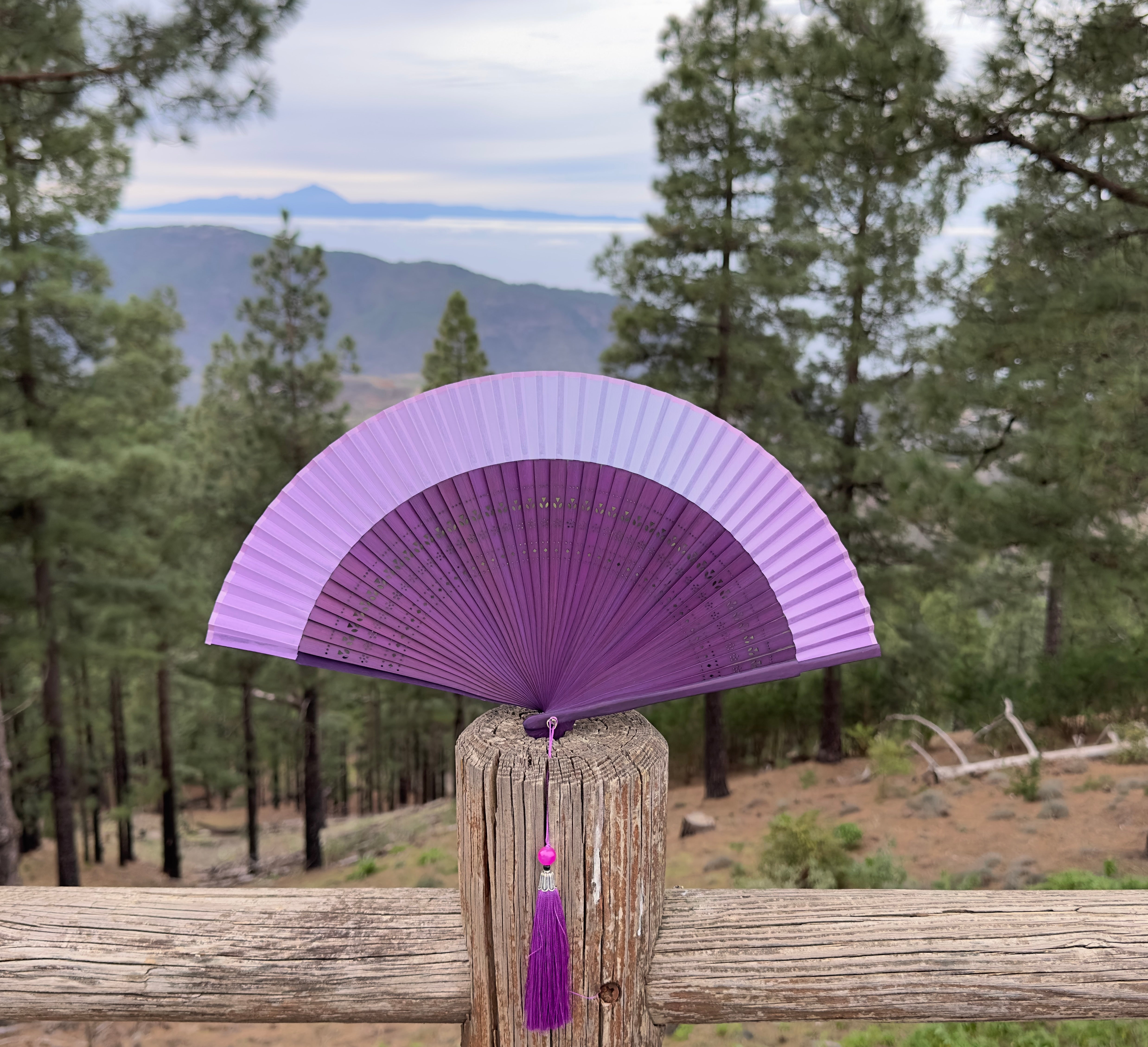 Collection of Aire Maestro in a gallery layout